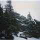 Felsen