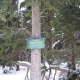 Turm%2520003