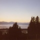 AUERBER4