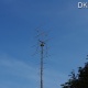 IMGP6761
