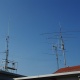 IMGP6409