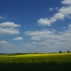 IMGP6579