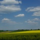 IMGP6581