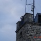DSC00040