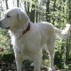 anfunken2007141