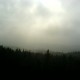DSC01061
