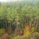 DSC01062
