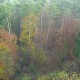 DSC01071