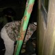 PICT0153