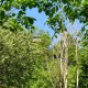 PIC_0908