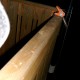 staffel2007121