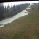 arber200817