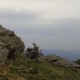 arber200839