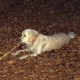 staffel08009