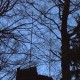 staffel08018