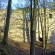 staffel08060