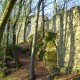 staffel08065