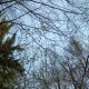 staffel08075