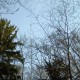 staffel08078
