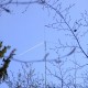 staffel08083