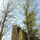staffel08132