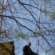 staffel08133