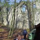 staffel08138