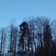 DSC00028