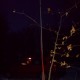 DSC00034