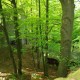 staffel09002