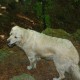 staffel09003