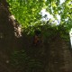 staffel09006