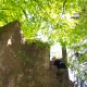 staffel09008