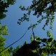staffel09015