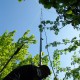 staffel09018