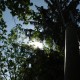 staffel09025