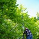 staffel09032