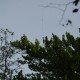 staffel09071