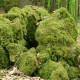 staffel09079