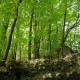 staffel09083