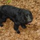 staffel09105