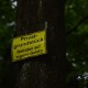 staffel09108