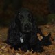 staffel09111