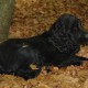 staffel09124