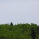 staffel09163