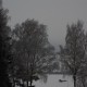 IMGP4600