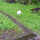 PIC_0095