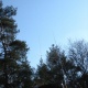 IMG_20060408_0119