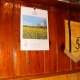 PIC_0049