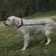 Huette042007036
